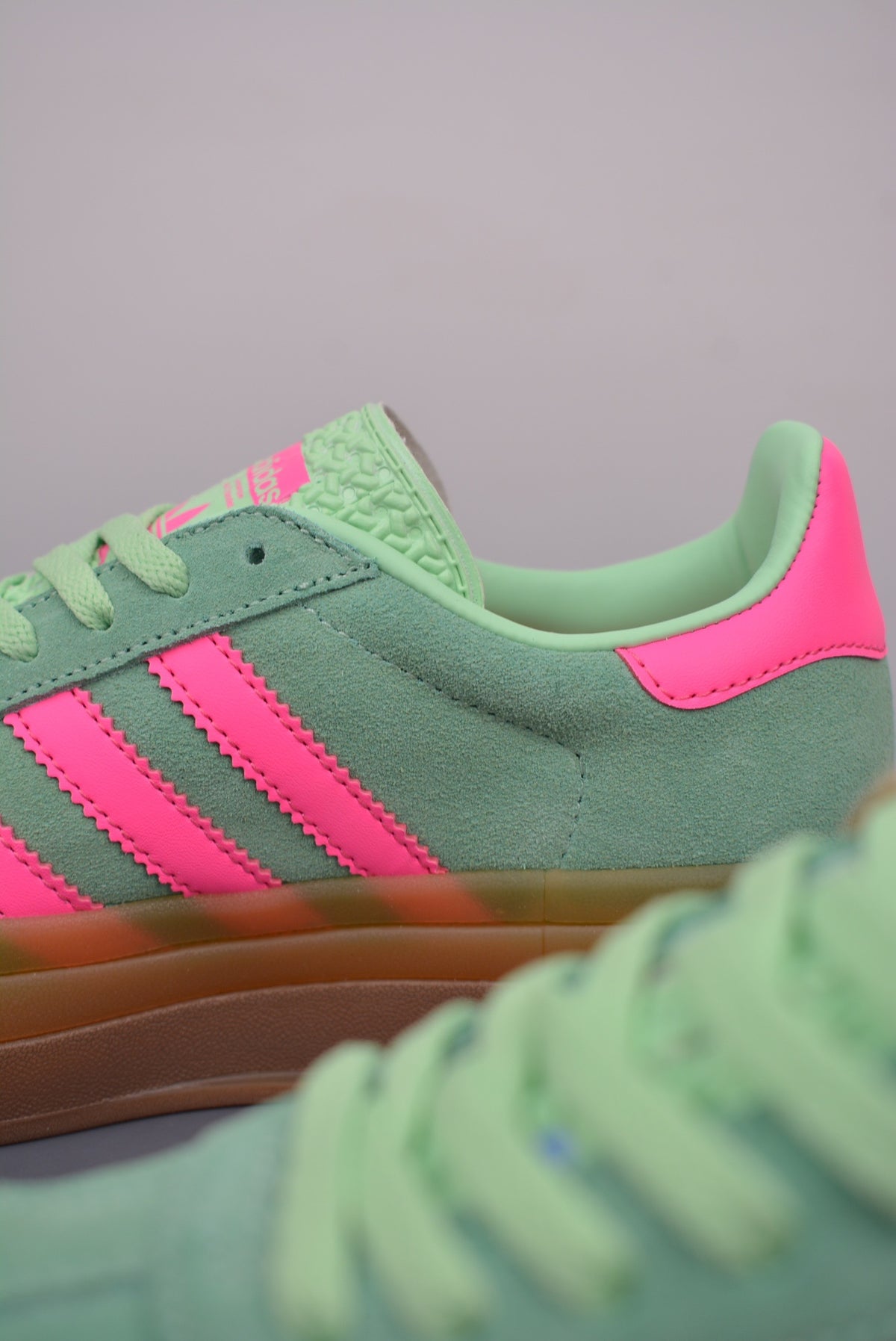 Gazelle Bold