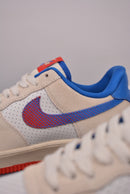 Air Force 1 Harlem Globetrotters