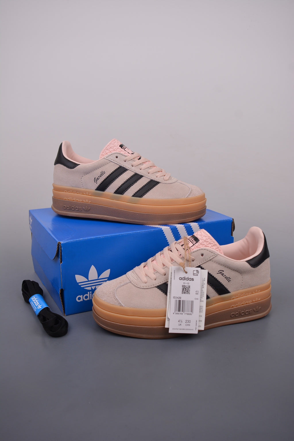 Gazelle Bold