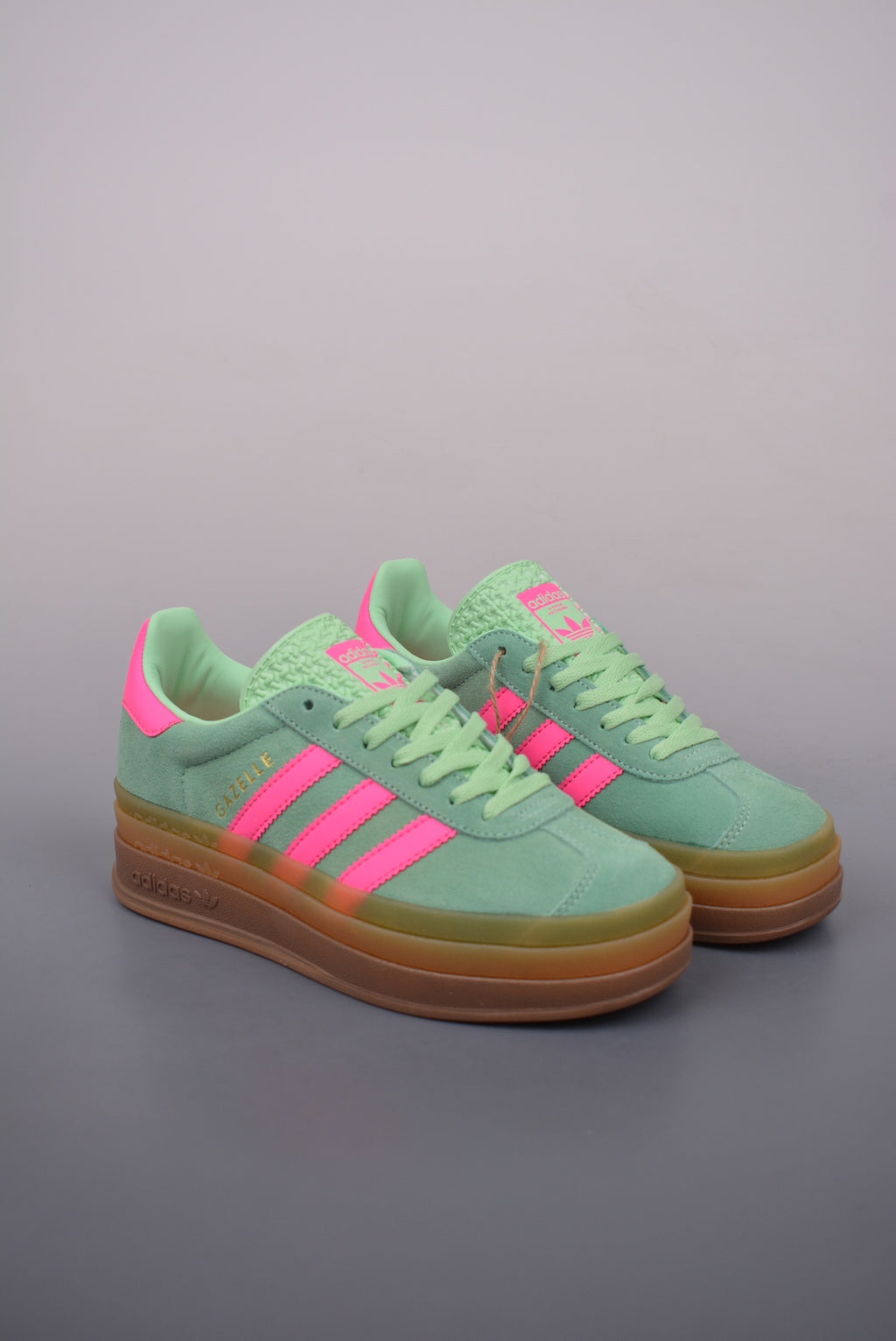 Gazelle Bold