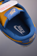 Dunk Blue and Gold