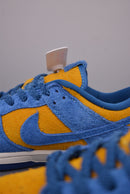 Dunk Blue and Gold