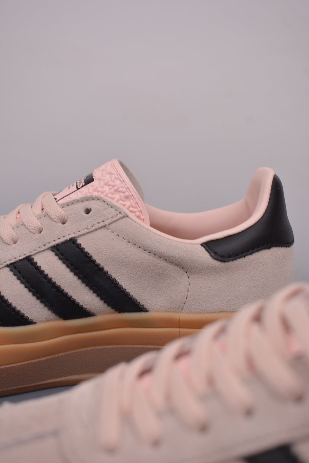 Gazelle Bold