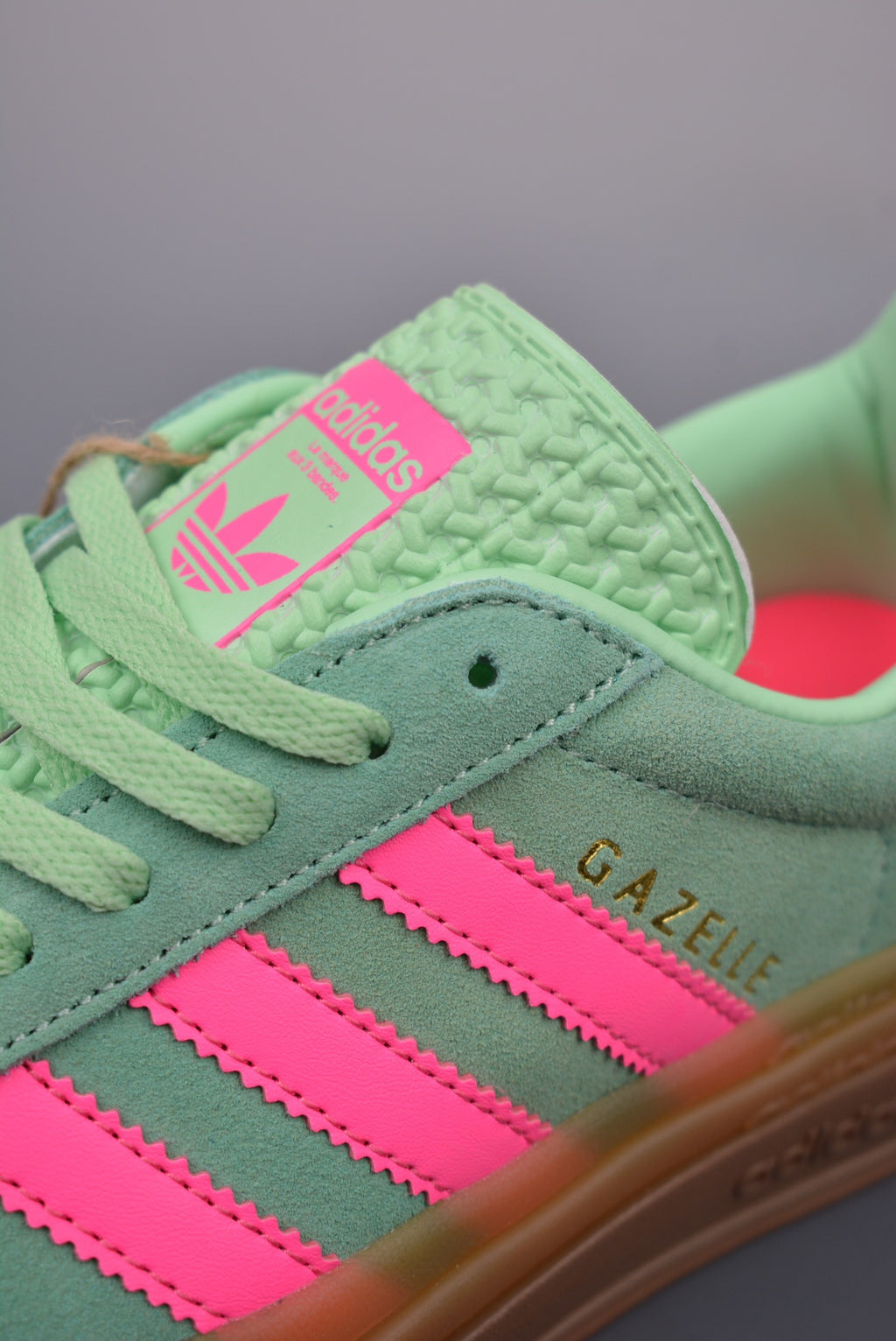 Gazelle Bold