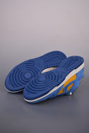 Dunk Blue and Gold