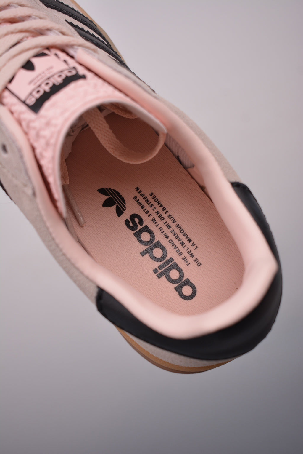 Gazelle Bold