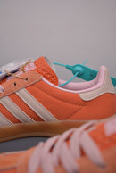 Gazelle Indoor