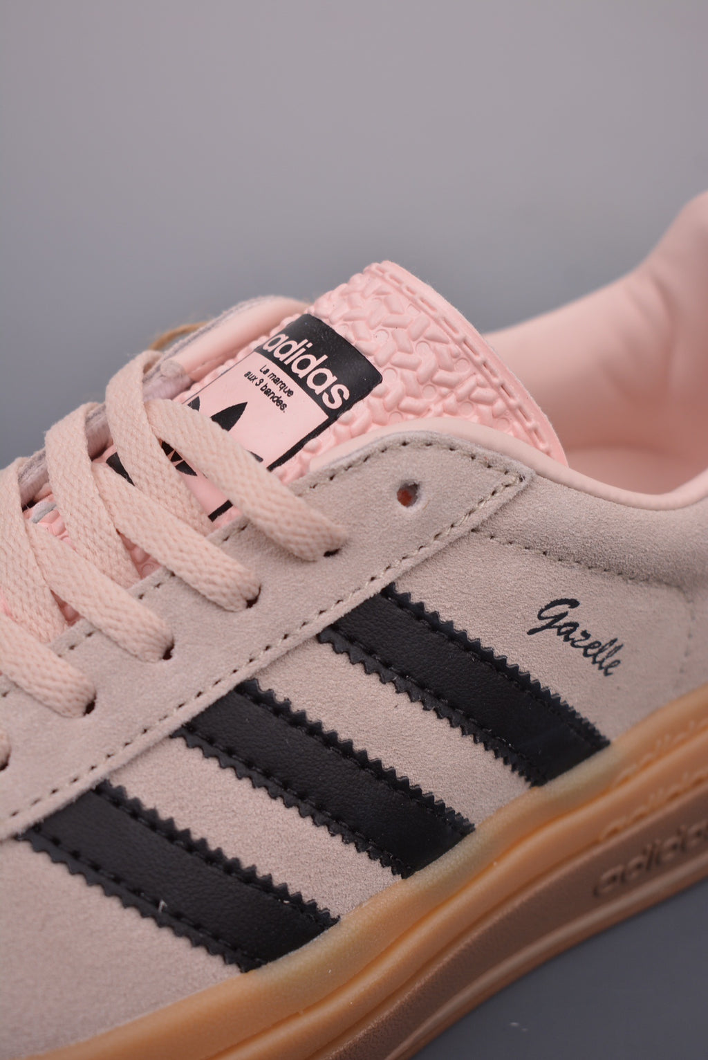 Gazelle Bold
