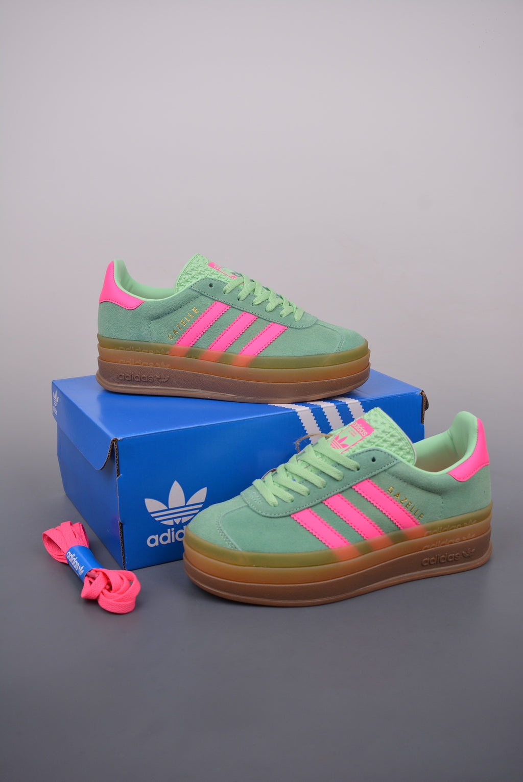 Gazelle Bold