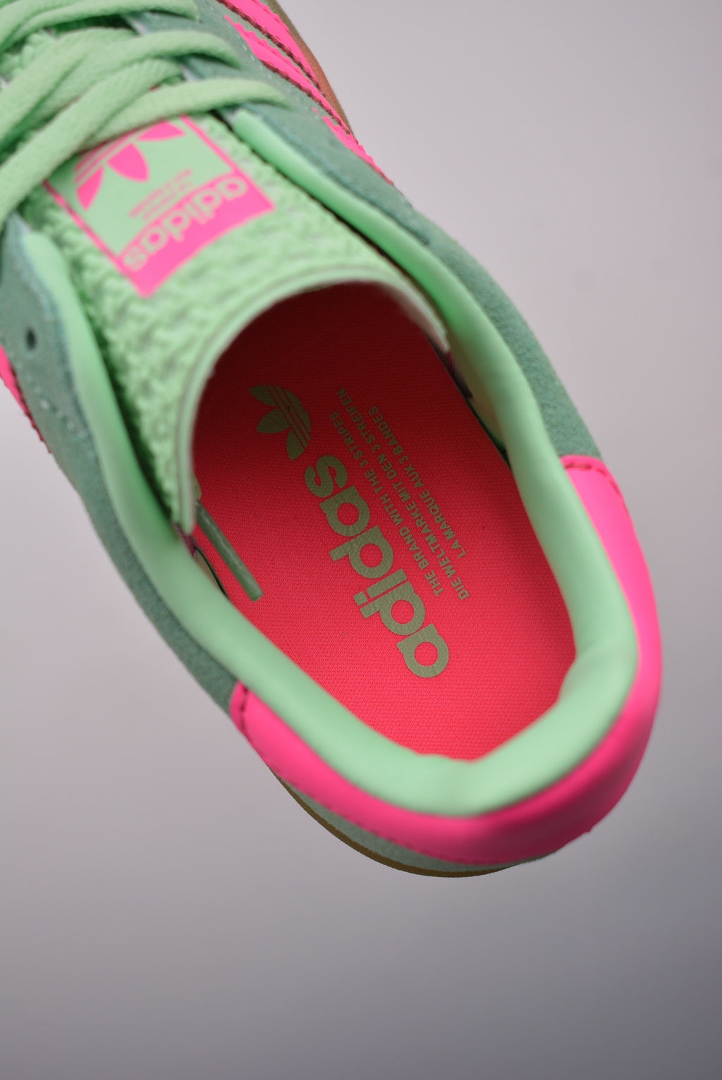 Gazelle Bold